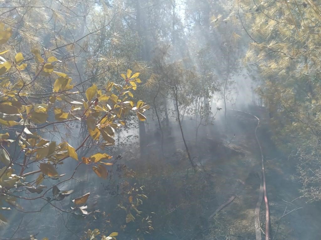 Hatay’da orman yangını büyümeden söndürüldü