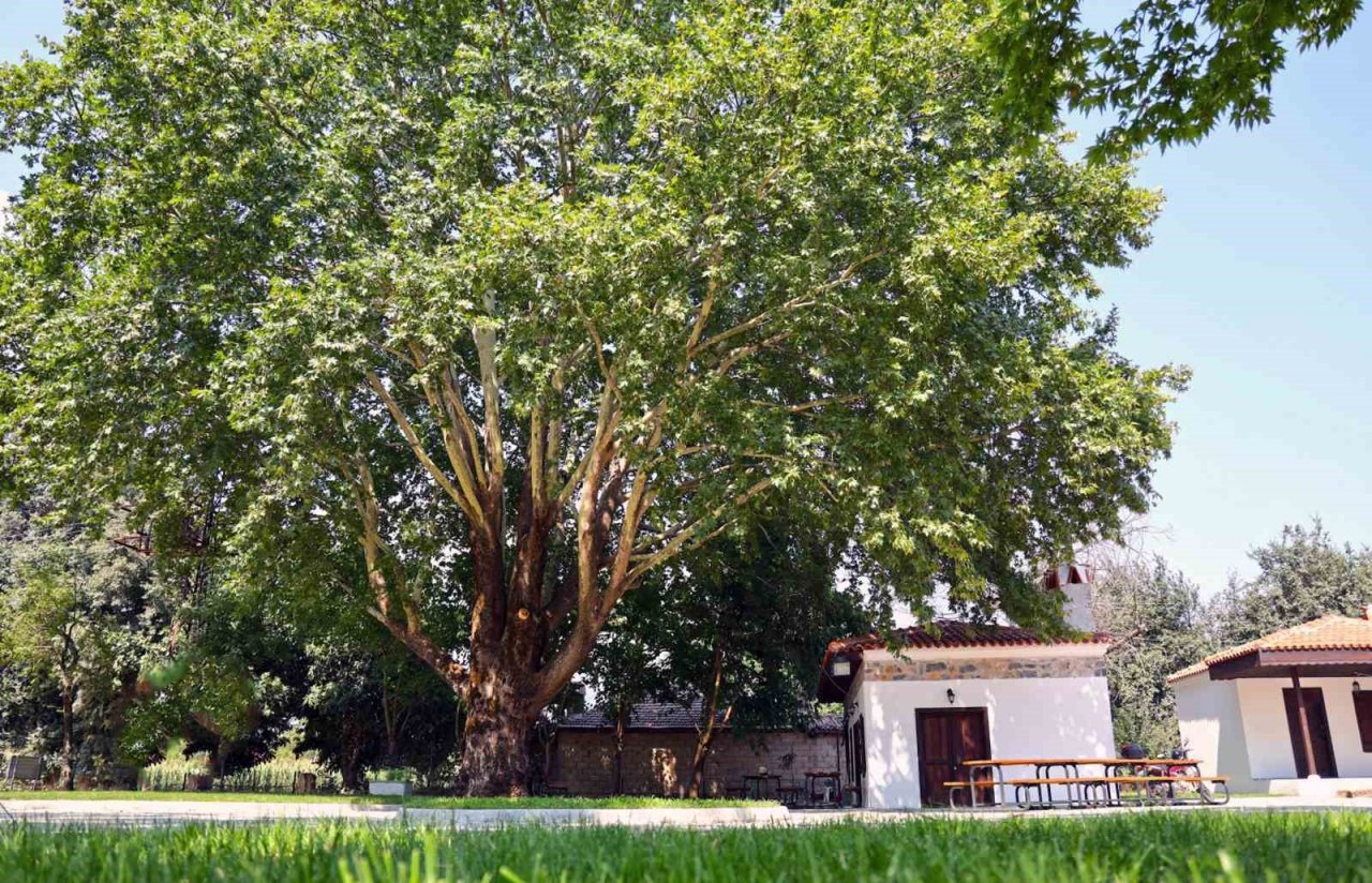 Tarihi Narlı Kahvesi’ne vatandaş ilgisi