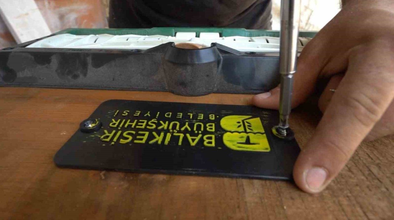 Ömrünü tamamlayan ağaçlar, kovan oluyor