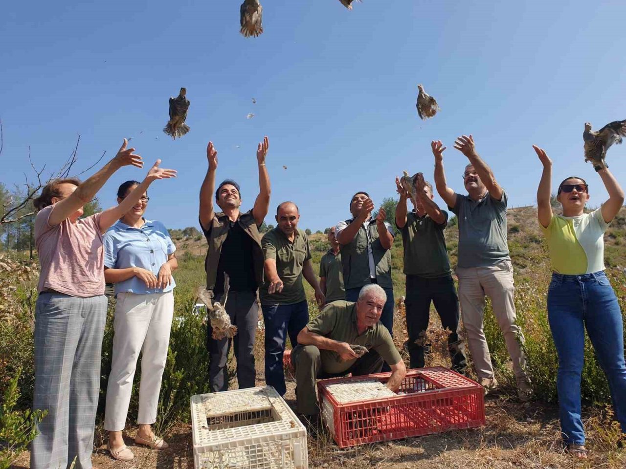 Osmaniye’de 500 kınalı keklik doğayla buluşturuldu