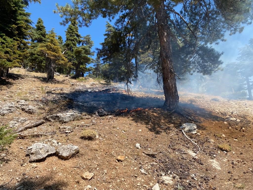 Saimbeyli’de çıkan orman yangını söndürüldü