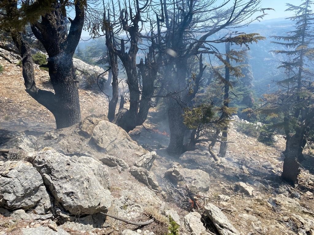 Saimbeyli’de çıkan orman yangını söndürüldü