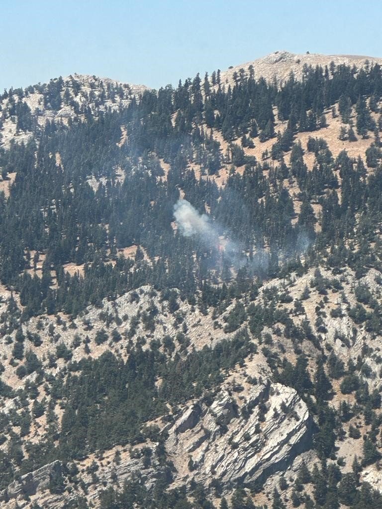 Saimbeyli’de çıkan orman yangını söndürüldü