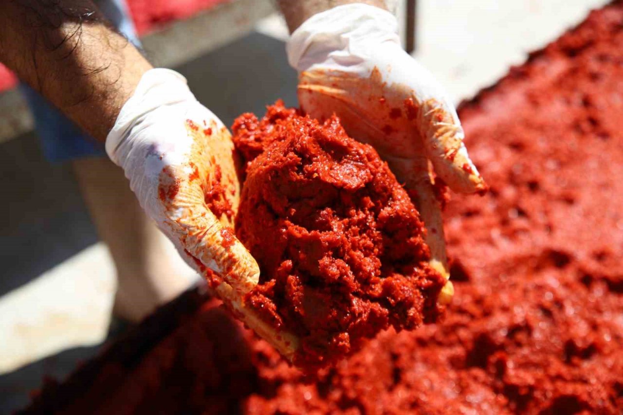 Gaziantep’te biber salçası mesaisi başladı