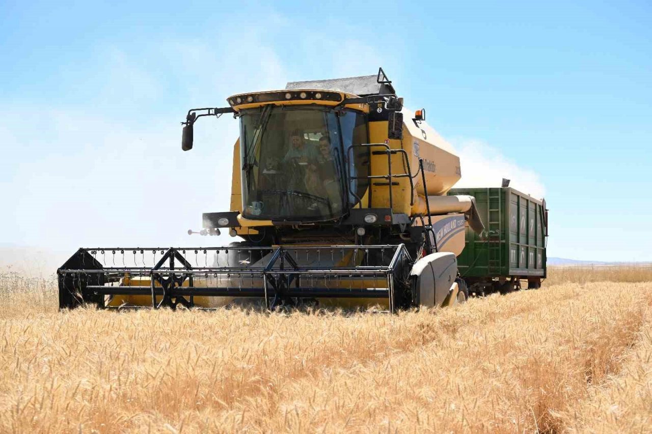 Kayseri’de yazlık buğday üretimi geleneği sürüyor