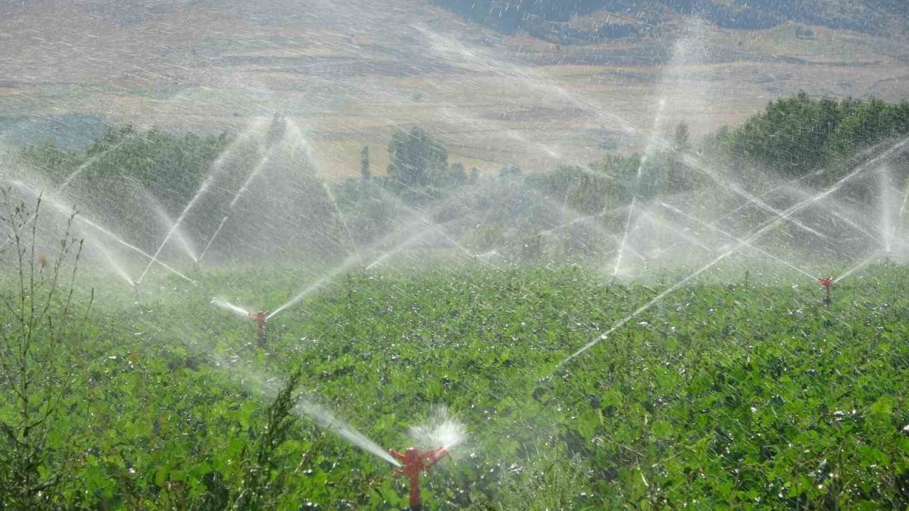 Coğrafi İşaretli Tufanbeyli Fasulyesi eken çiftçilerin zorlu mücadelesi