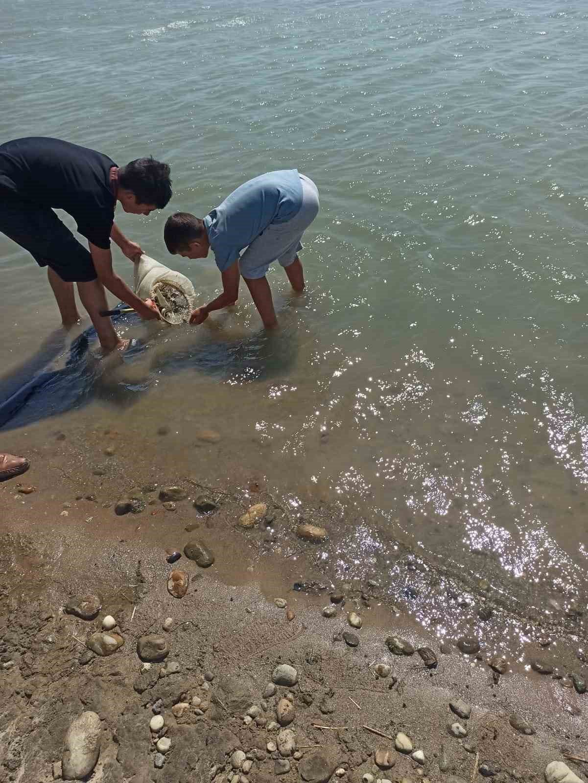 Edirne’de yavru sazan balıklar su ile buluştu