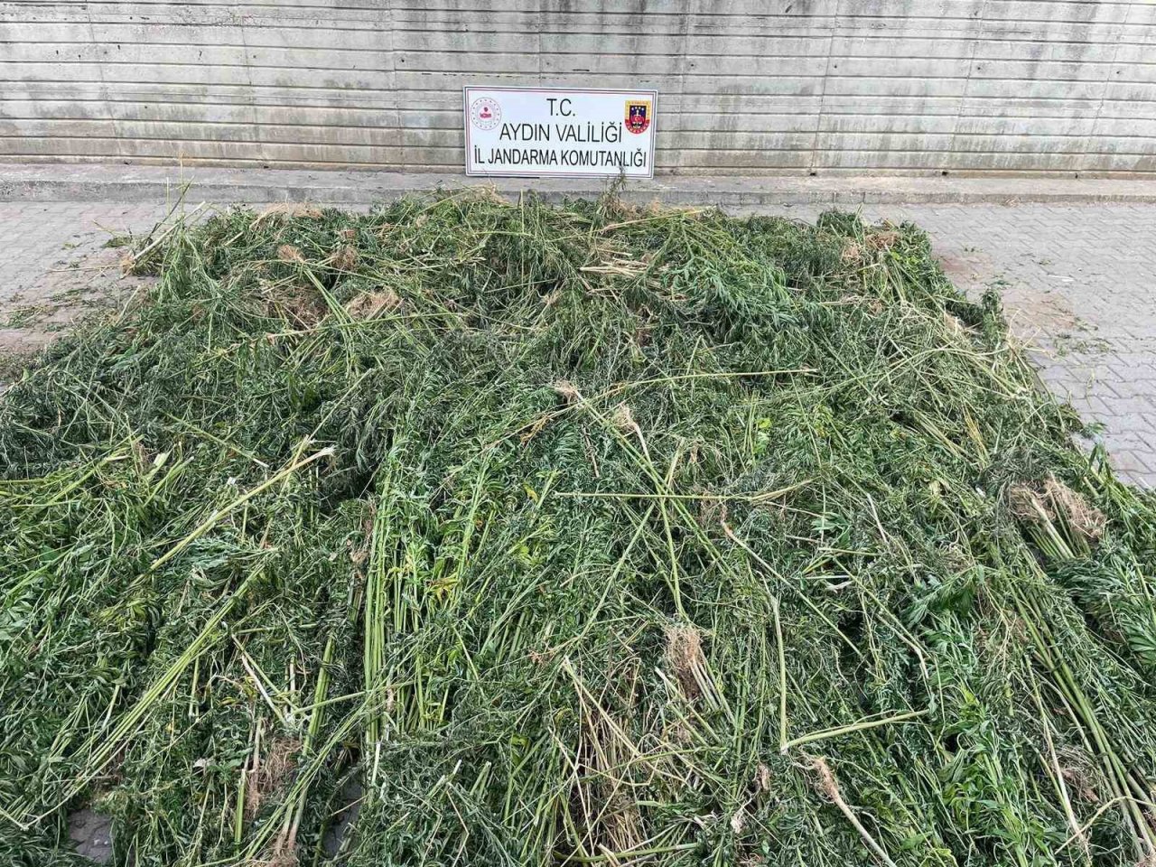 Zehir taciri baba ve oğlu bir ton uyuşturucu ile yakalandı