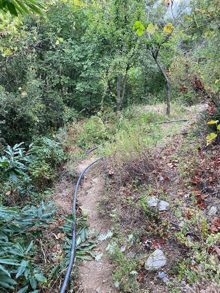 Zehir taciri baba ve oğlu bir ton uyuşturucu ile yakalandı