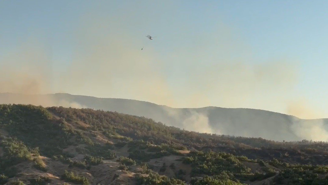 Bingöl’de çıkan orman yangını kontrol altına alındı