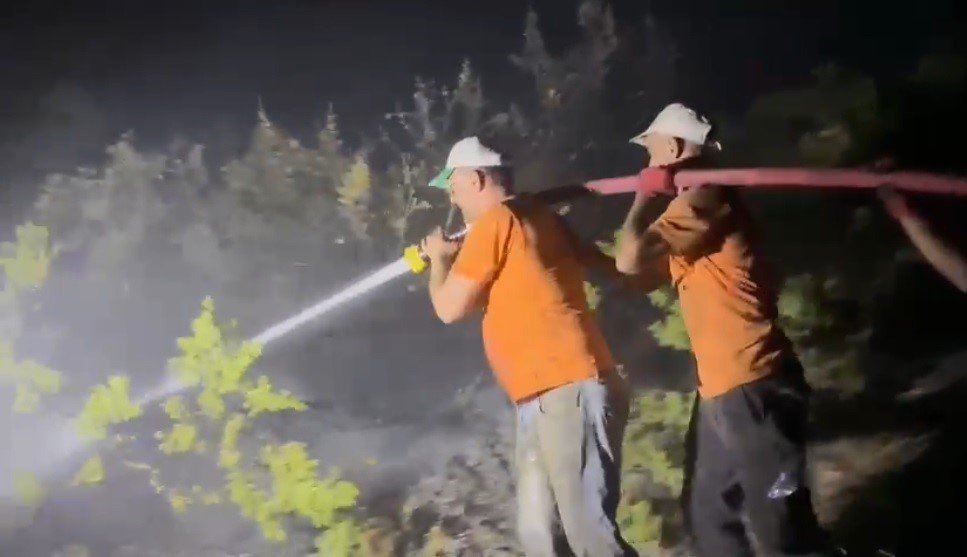 Bingöl’de çıkan orman yangını kontrol altına alındı