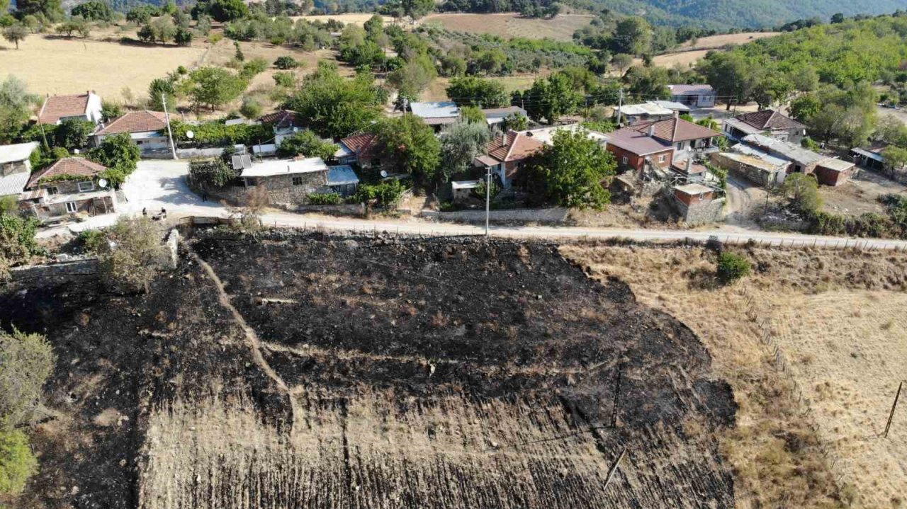 Çanakkale’nin ciğerlerini yakan yangın burada başlamış