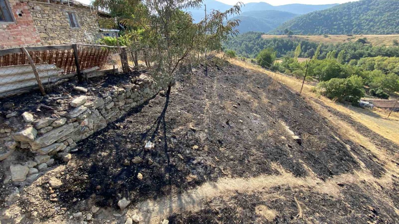Çanakkale’nin ciğerlerini yakan yangın burada başlamış