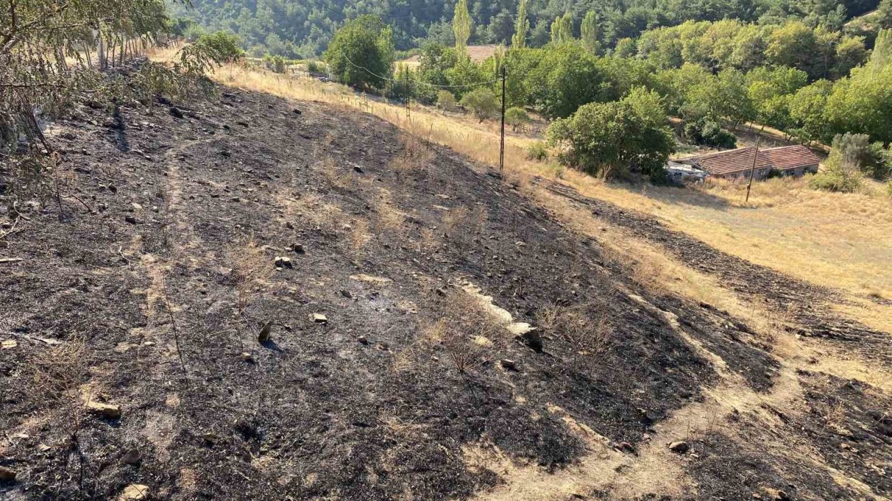 Çanakkale’nin ciğerlerini yakan yangın burada başlamış