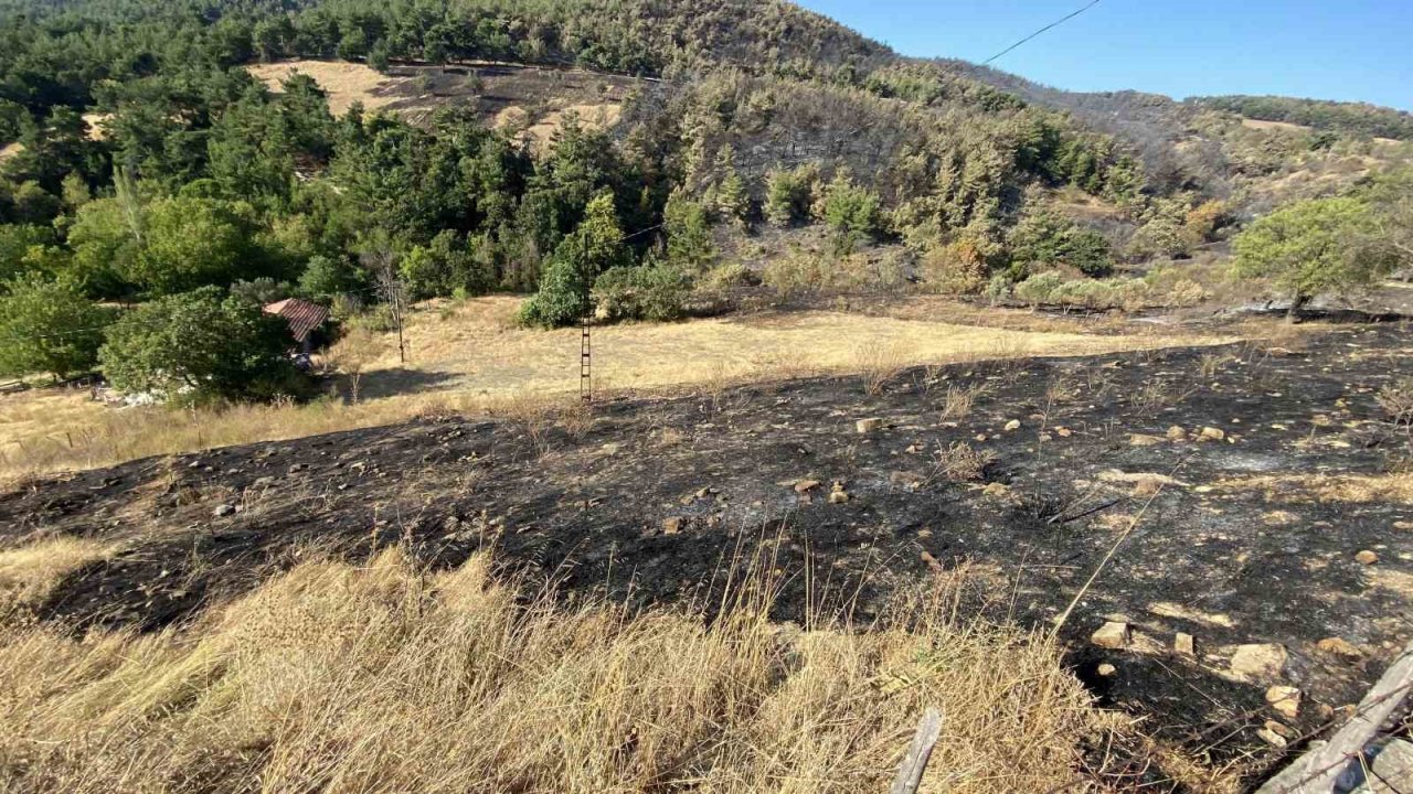 Çanakkale’nin ciğerlerini yakan yangın burada başlamış
