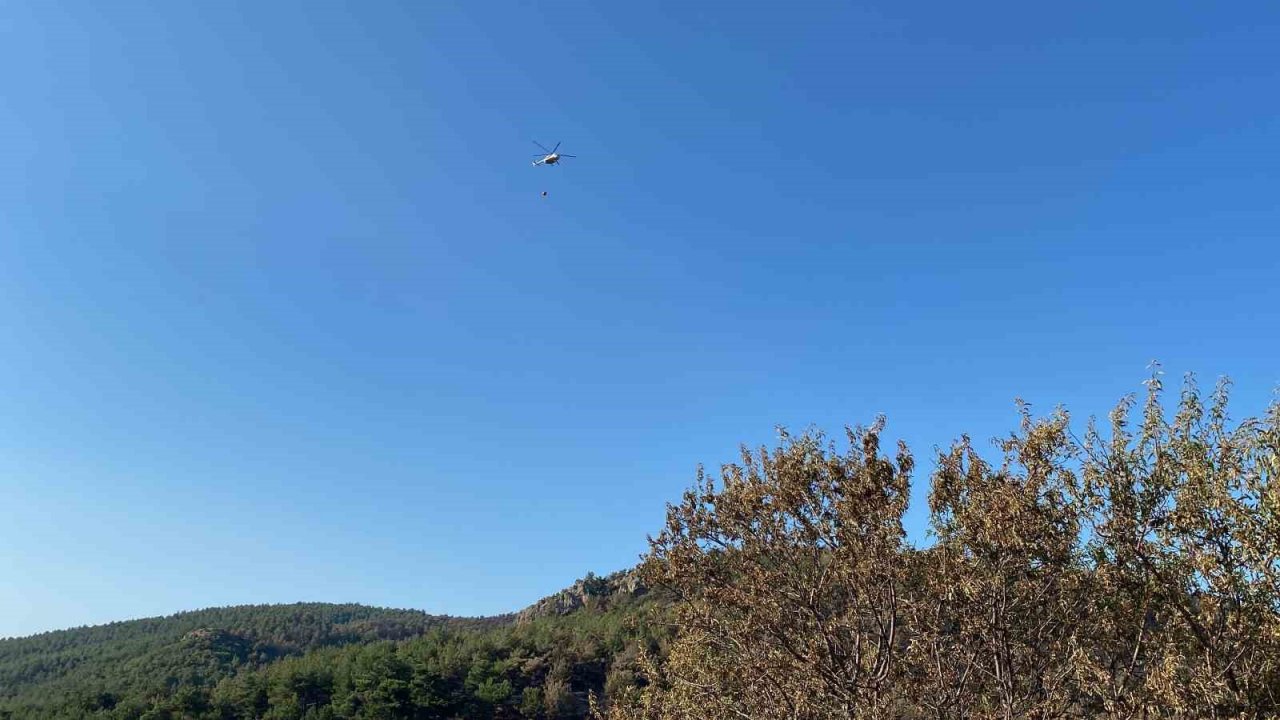 Çanakkale’nin ciğerlerini yakan yangın burada başlamış