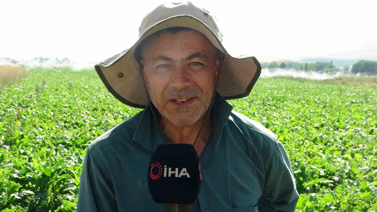 Coğrafi İşaretli Tufanbeyli Fasulyesi eken çiftçilerin zorlu mücadelesi