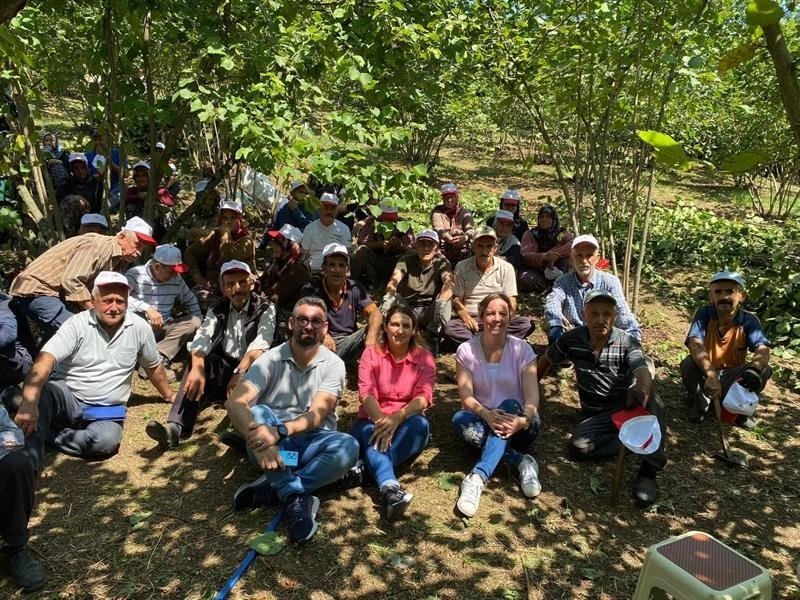 Düzce organik fındık üretiyor