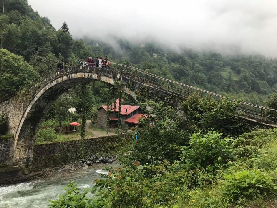 Küresel ısınma yayların değerini arttırdı