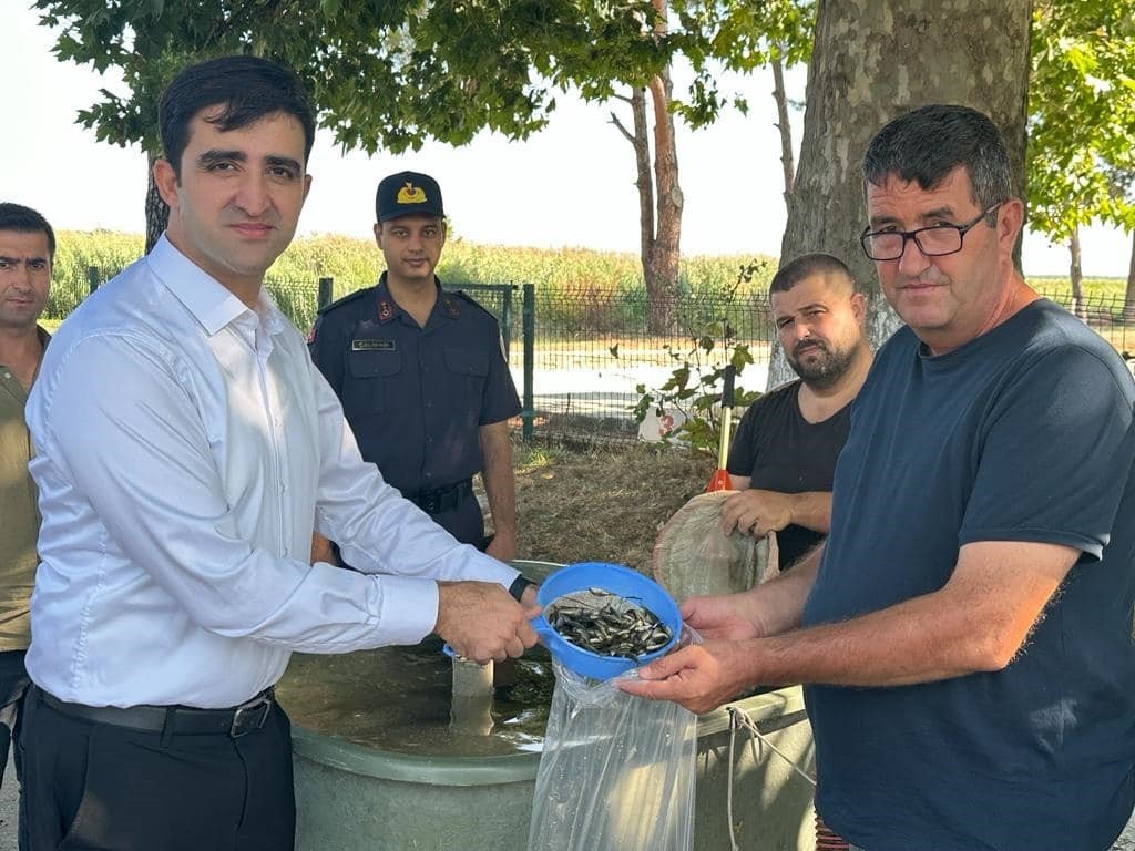 Enez ve İpsala’da 410 bin yavru sazan su ile buluştu