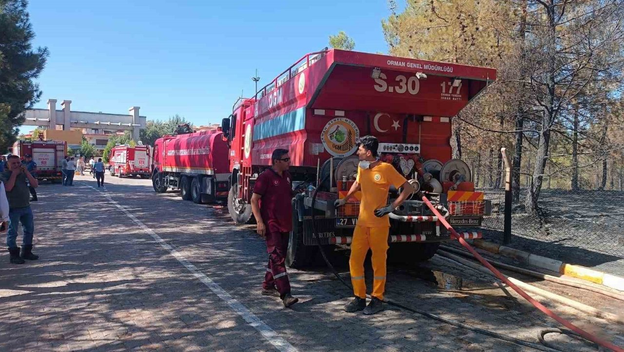 Gaziantep’te orman yangını