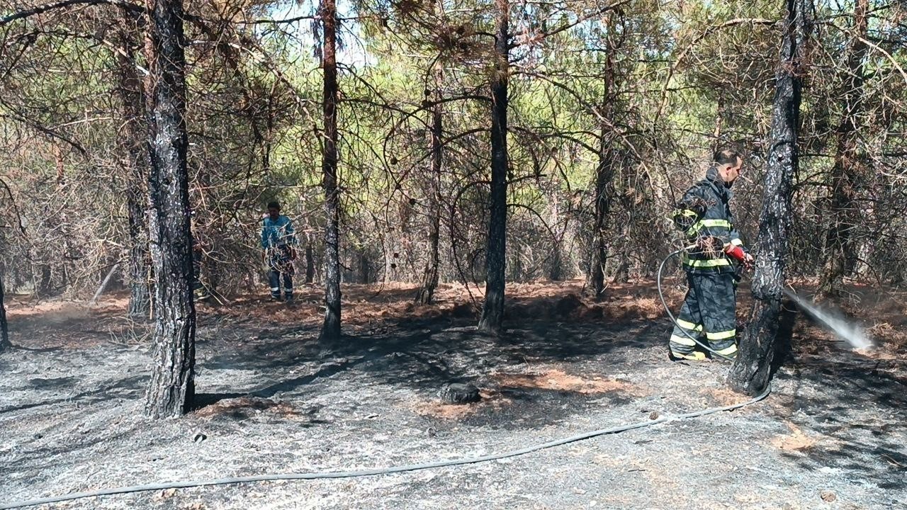 Gaziantep’te orman yangını