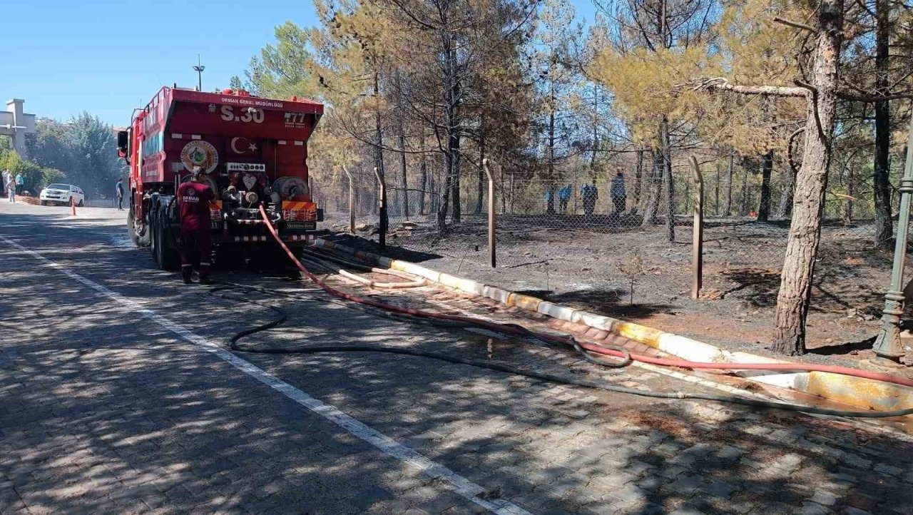Gaziantep’te orman yangını