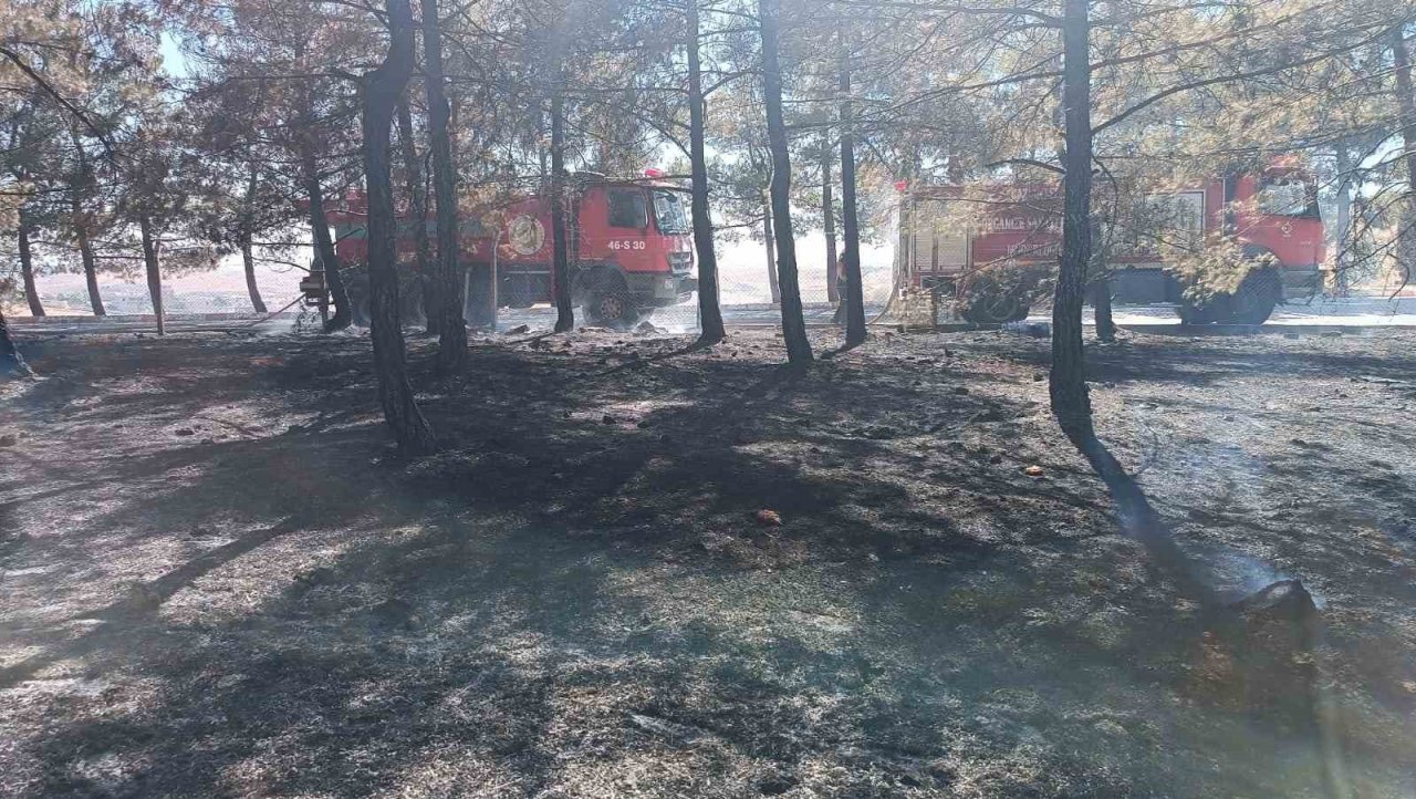 Gaziantep’te orman yangını