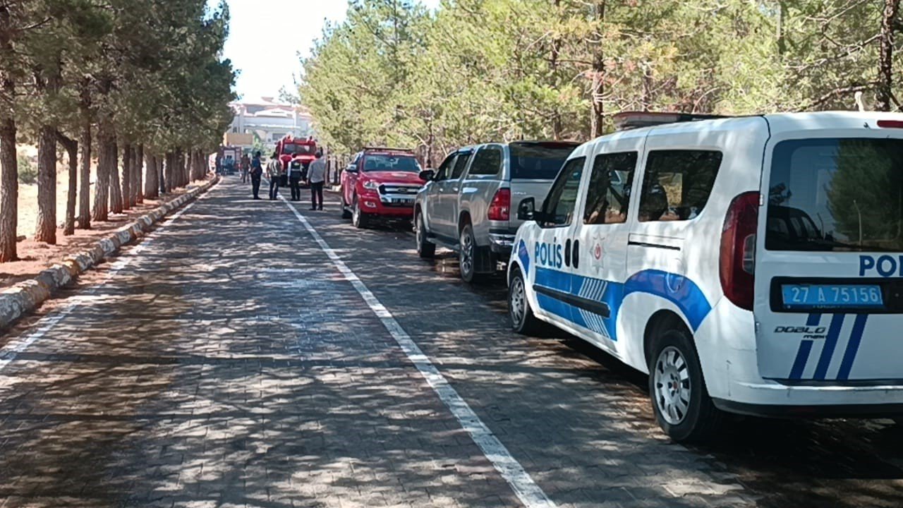 Gaziantep’te orman yangını