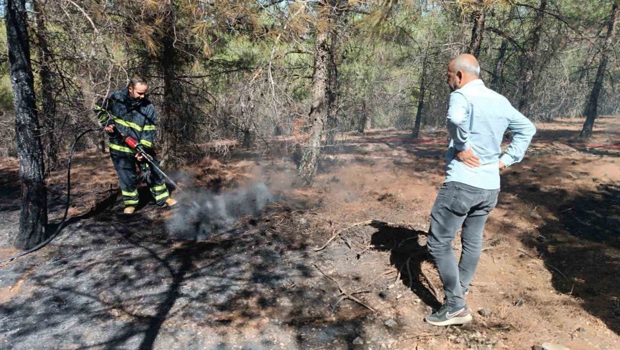 Gaziantep’te orman yangını