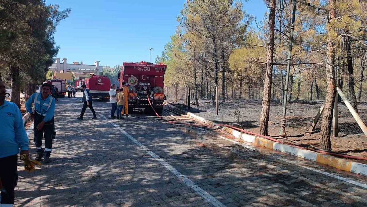 Gaziantep’te orman yangını