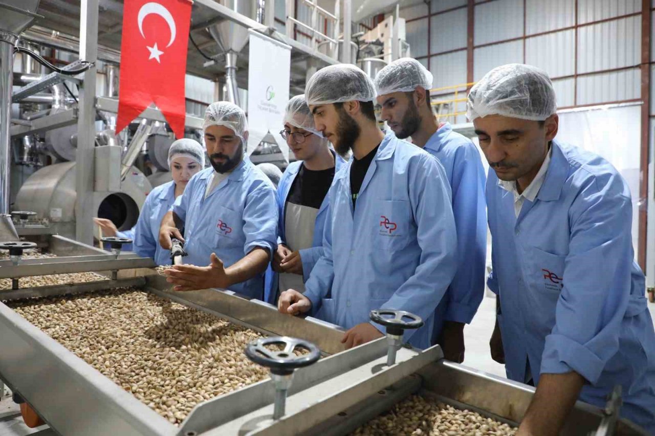 GTB’den Antep fıstığının işlenmesine yönelik eğitim