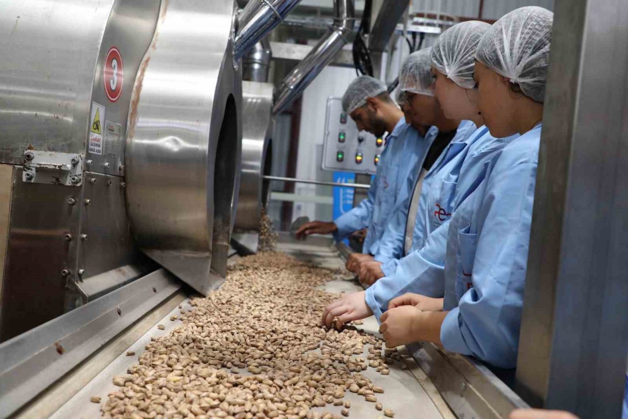 GTB’den Antep fıstığının işlenmesine yönelik eğitim