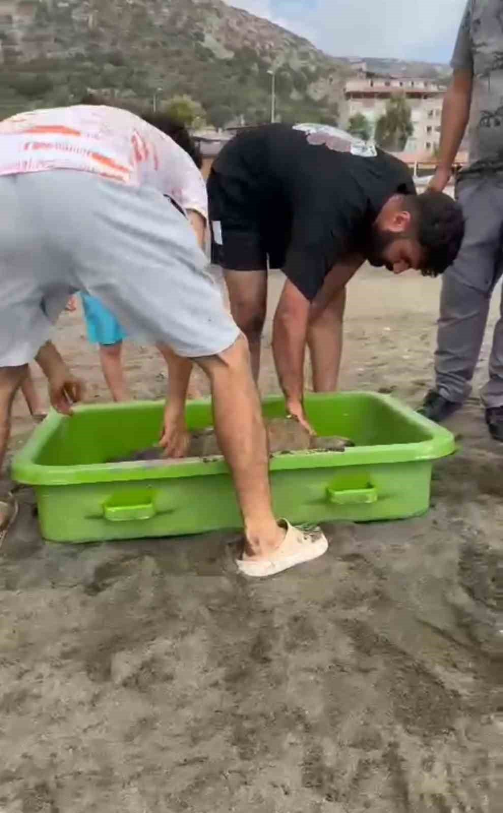 Yaralı caretta caretta sahile vurdu