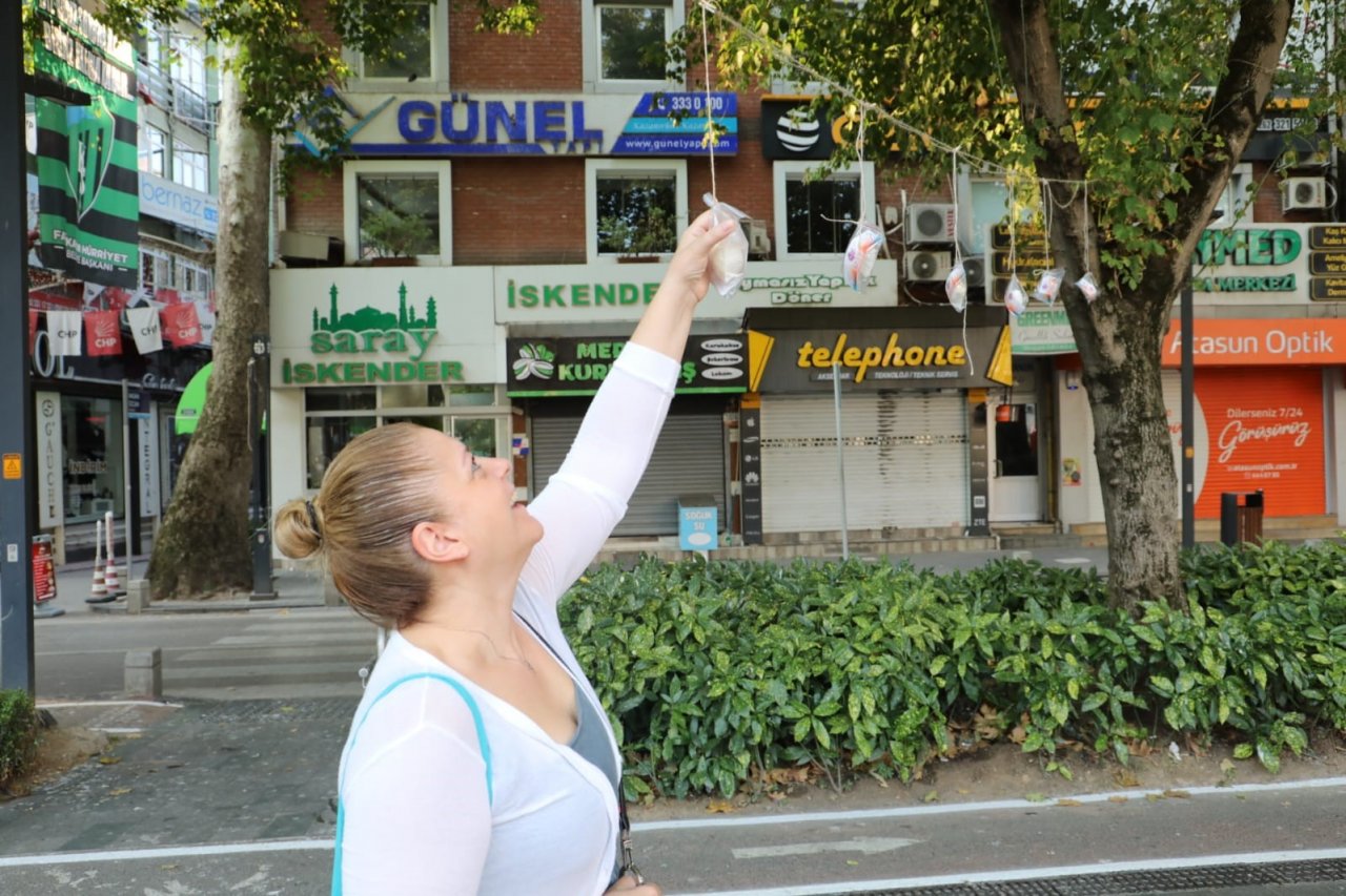 Ağaçlar pişmaniye açtı, görenler şaştı kaldı