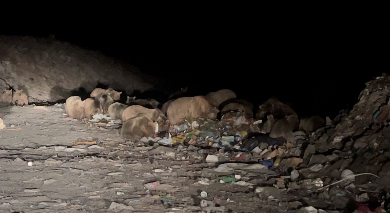 Kars’ta belgeselleri aratmayan görüntüler