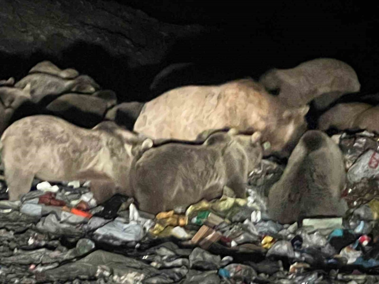 Kars’ta belgeselleri aratmayan görüntüler