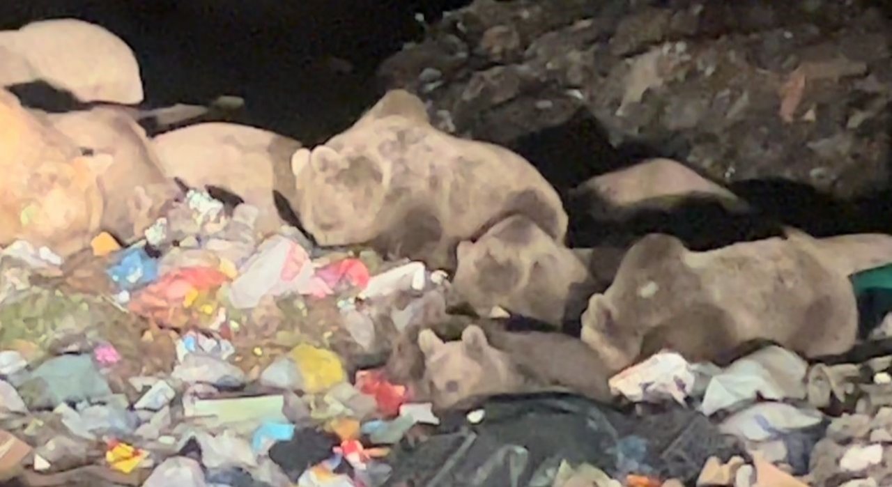 Kars’ta belgeselleri aratmayan görüntüler