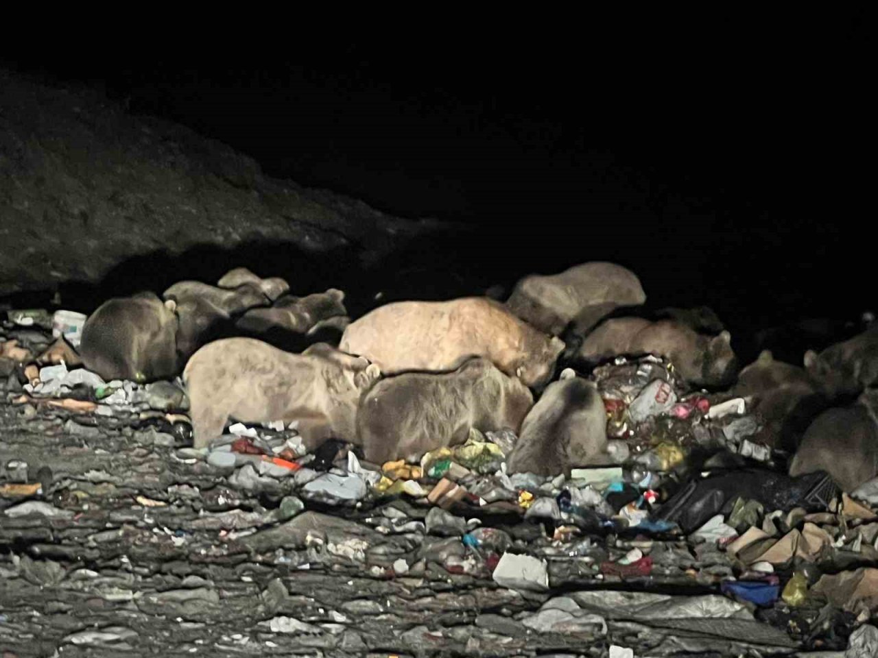 Kars’ta belgeselleri aratmayan görüntüler