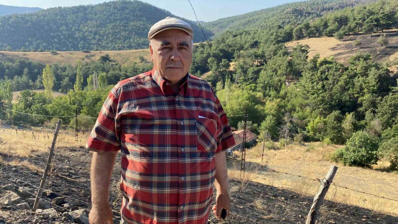 Çanakkale’nin ciğerlerini yakan yangın burada başlamış