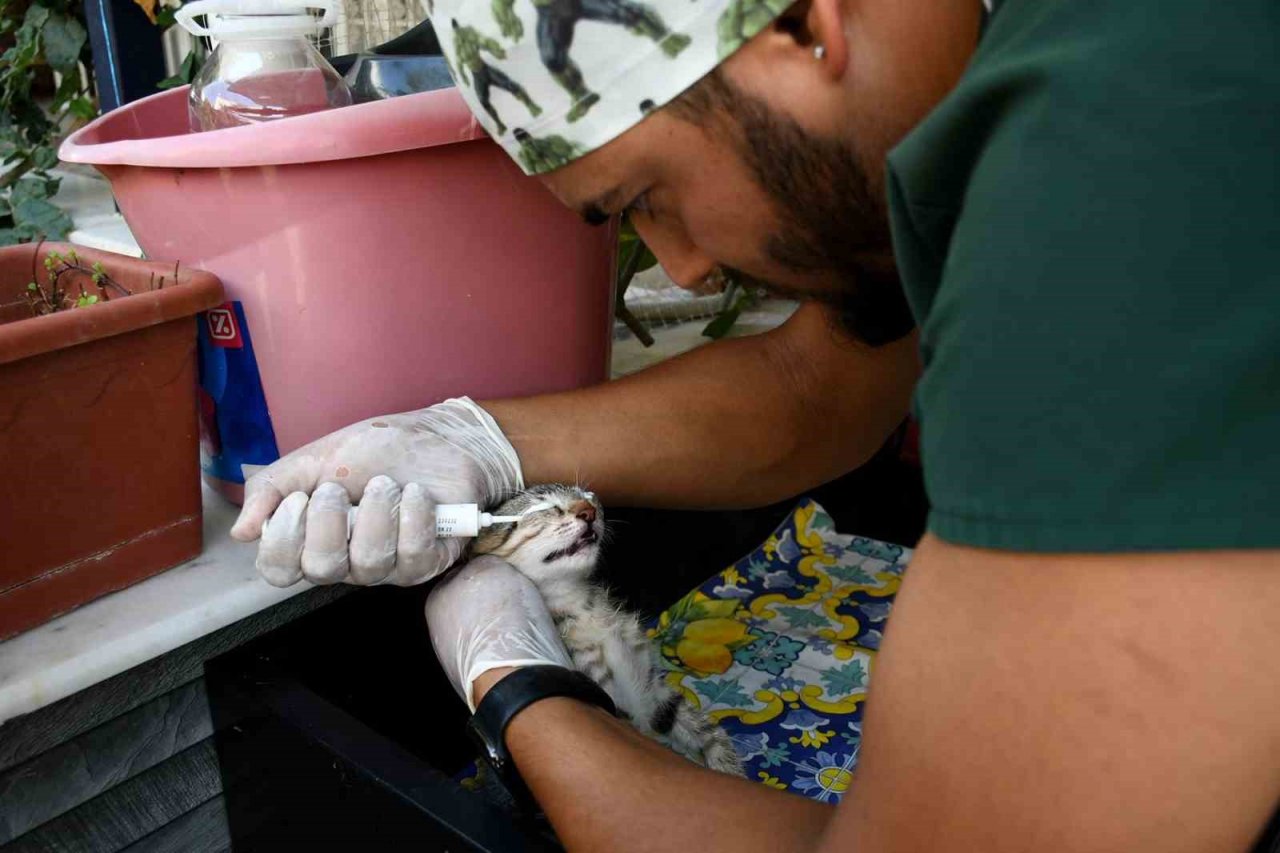Kuşadası’nda sahipsiz can dostlar şefkatli ellerde