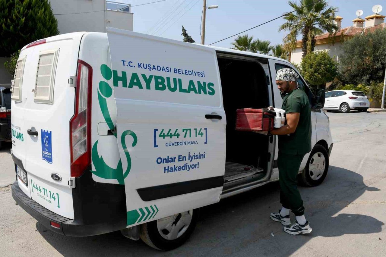 Kuşadası’nda sahipsiz can dostlar şefkatli ellerde