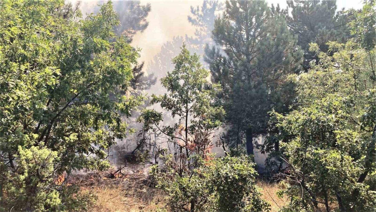Kütahya ile Emet ve Simav ilçelerinde çıkan yangınlar kontrol altına alındı