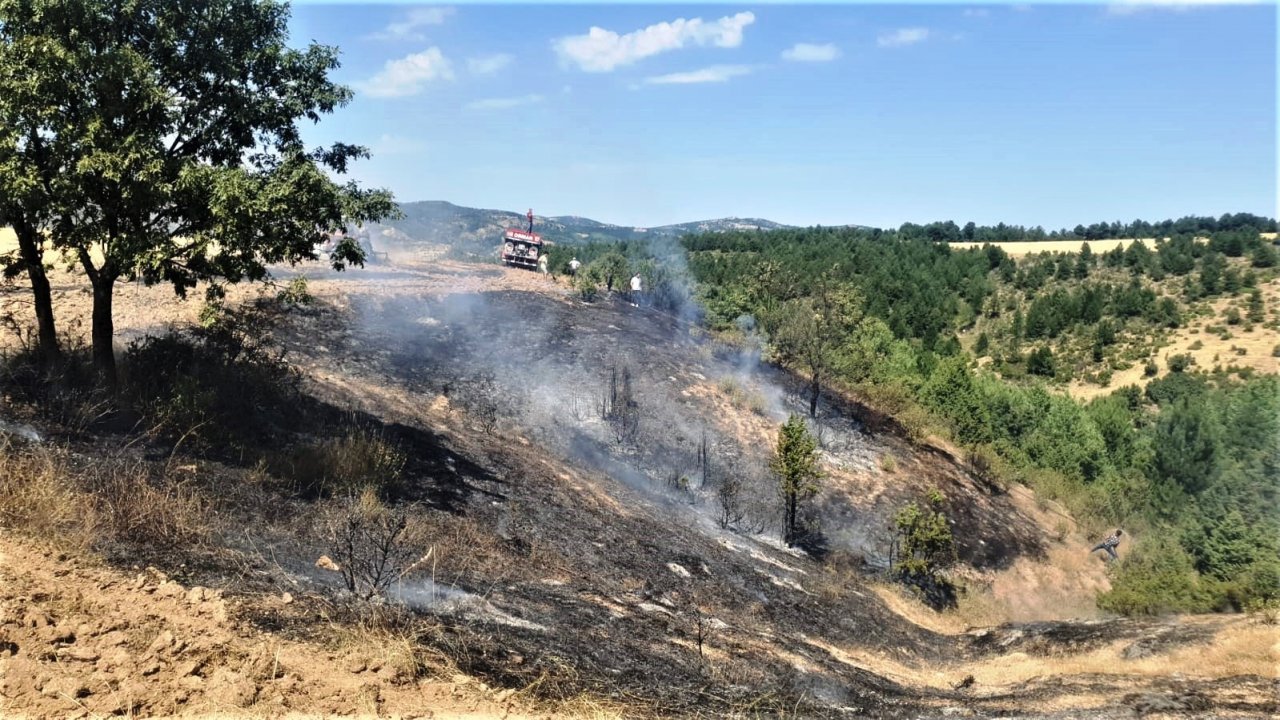 Kütahya ile Emet ve Simav ilçelerinde çıkan yangınlar kontrol altına alındı