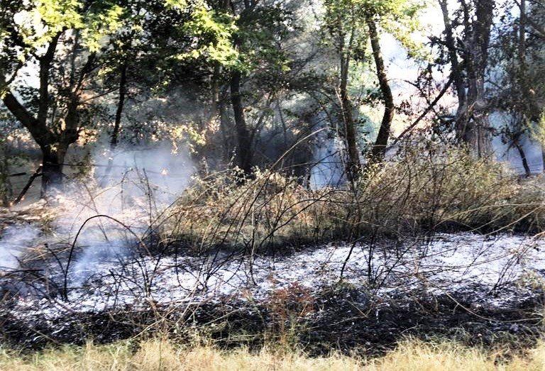 Kütahya ile Emet ve Simav ilçelerinde çıkan yangınlar kontrol altına alındı
