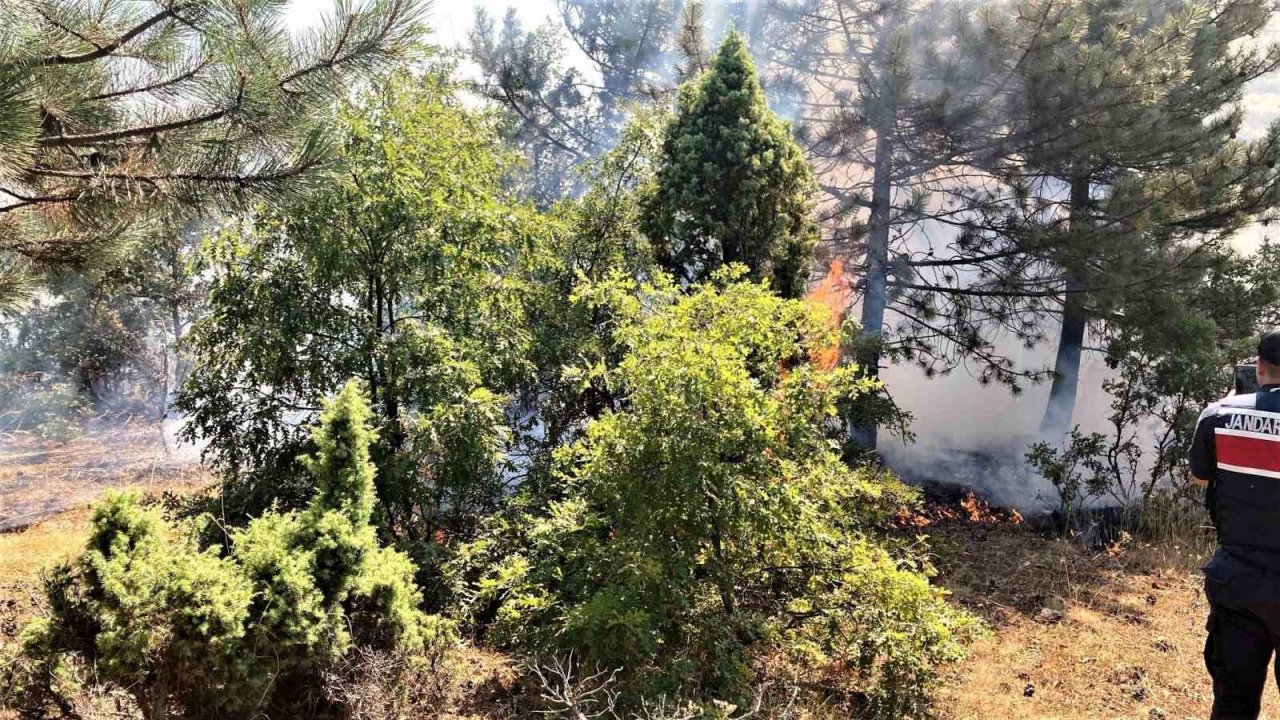 Kütahya ile Emet ve Simav ilçelerinde çıkan yangınlar kontrol altına alındı