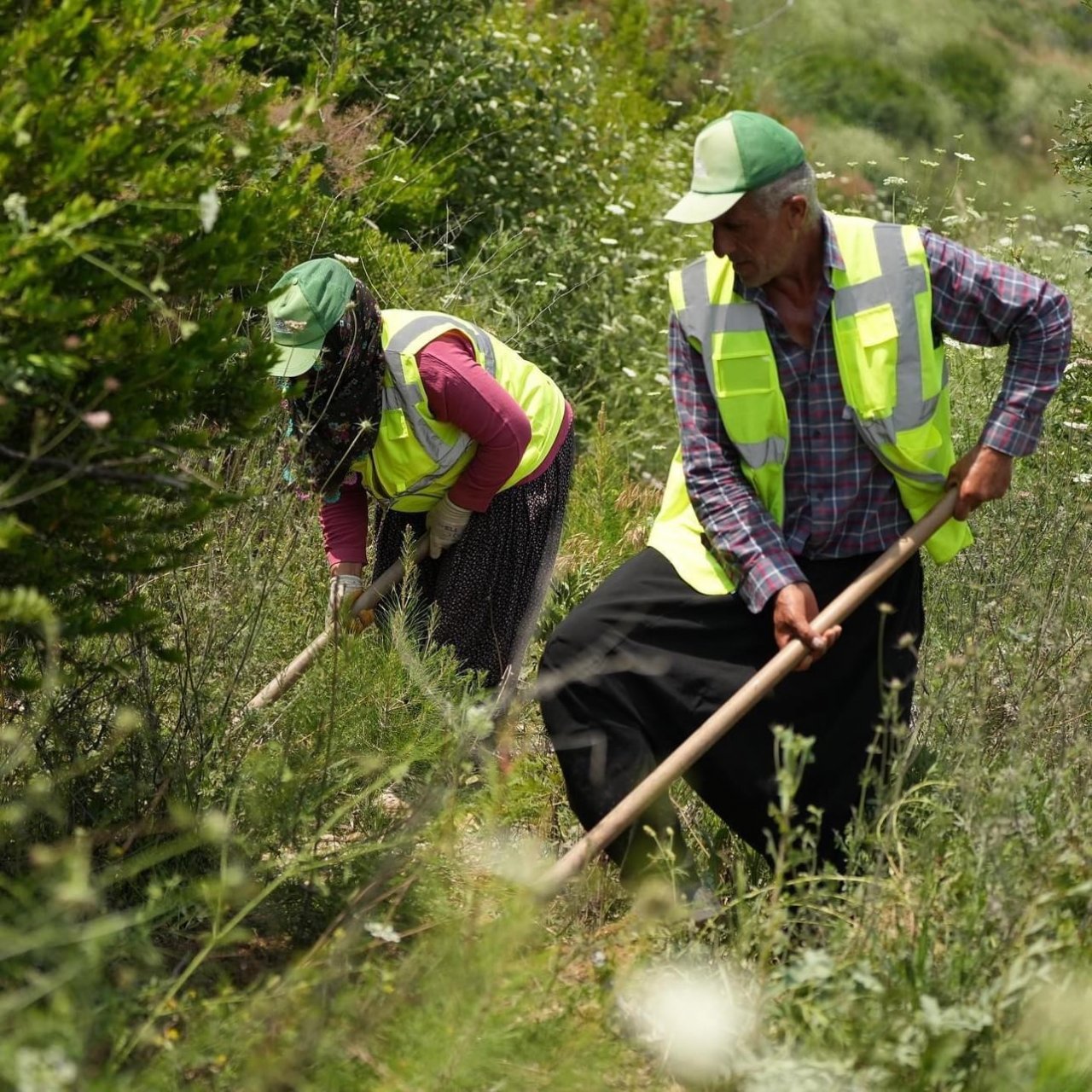 Yanan alanlar 3.yılında yeşermeye devam ediyor