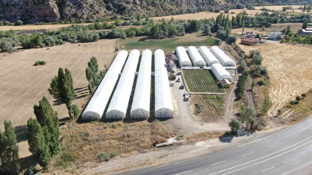 Sivas’ta yapılamaz denileni yaptı, şimdi taleplere yetişmekte zorlanıyor