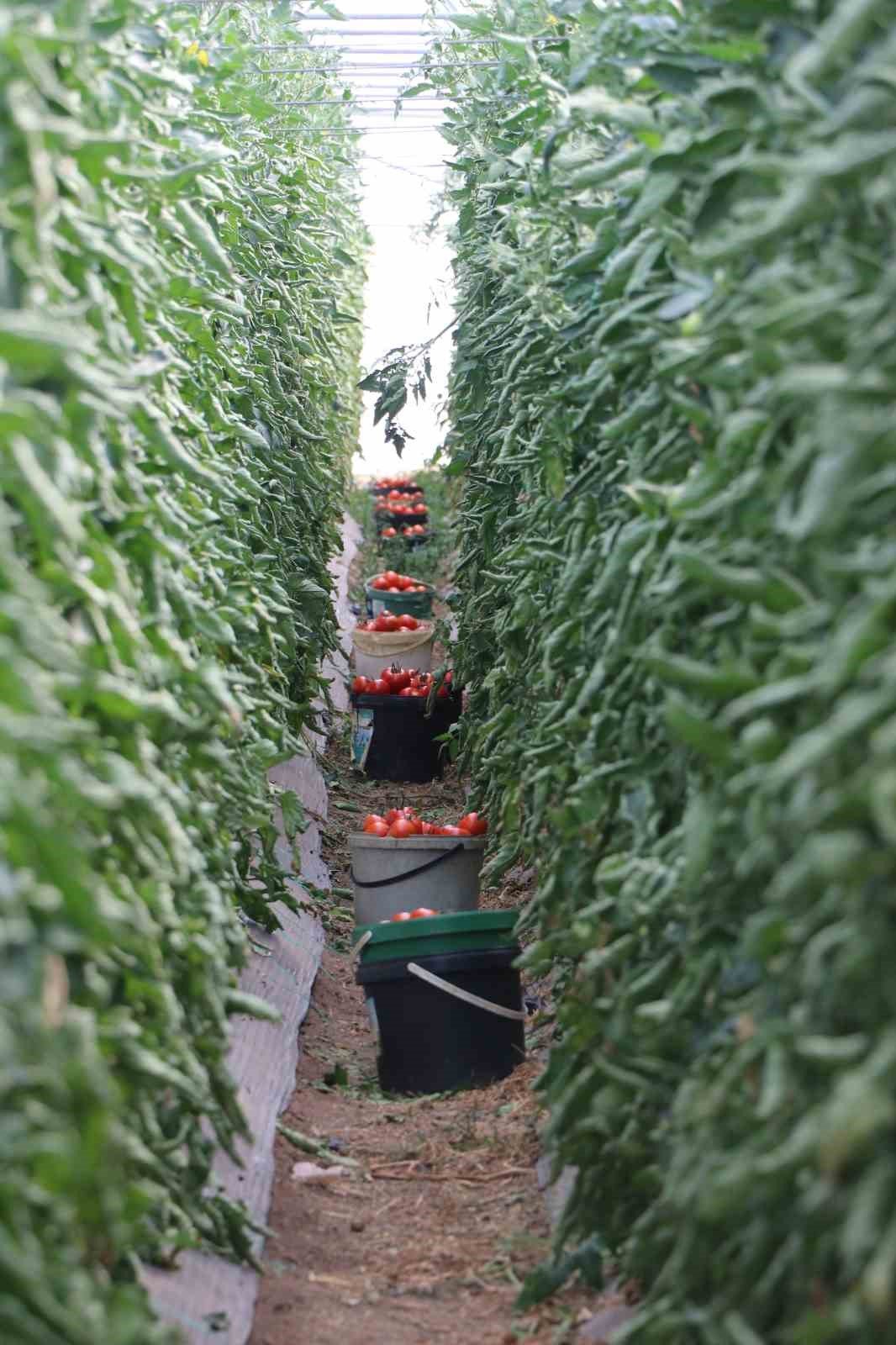 Sivas’ta yapılamaz denileni yaptı, şimdi taleplere yetişmekte zorlanıyor