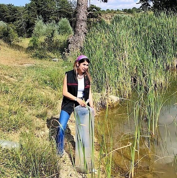 Uşak ve ilçelerinde 141 bin adet sazan yavrusu suya bırakıldı